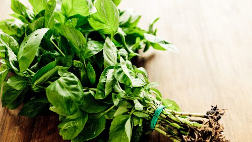 Basil leaves whole