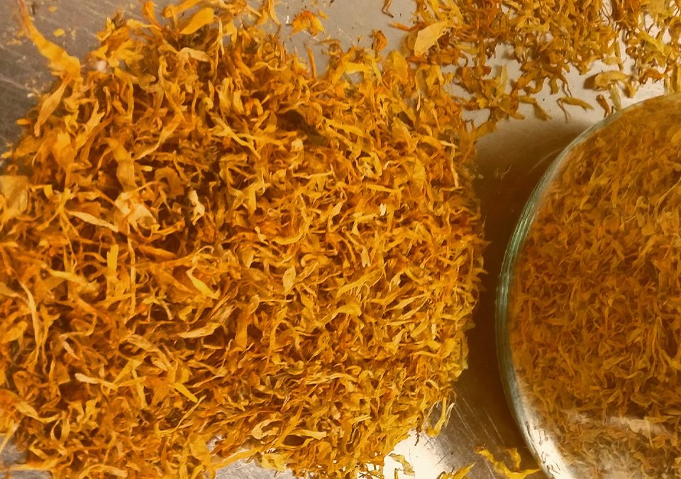 Calendula Flowers Whole