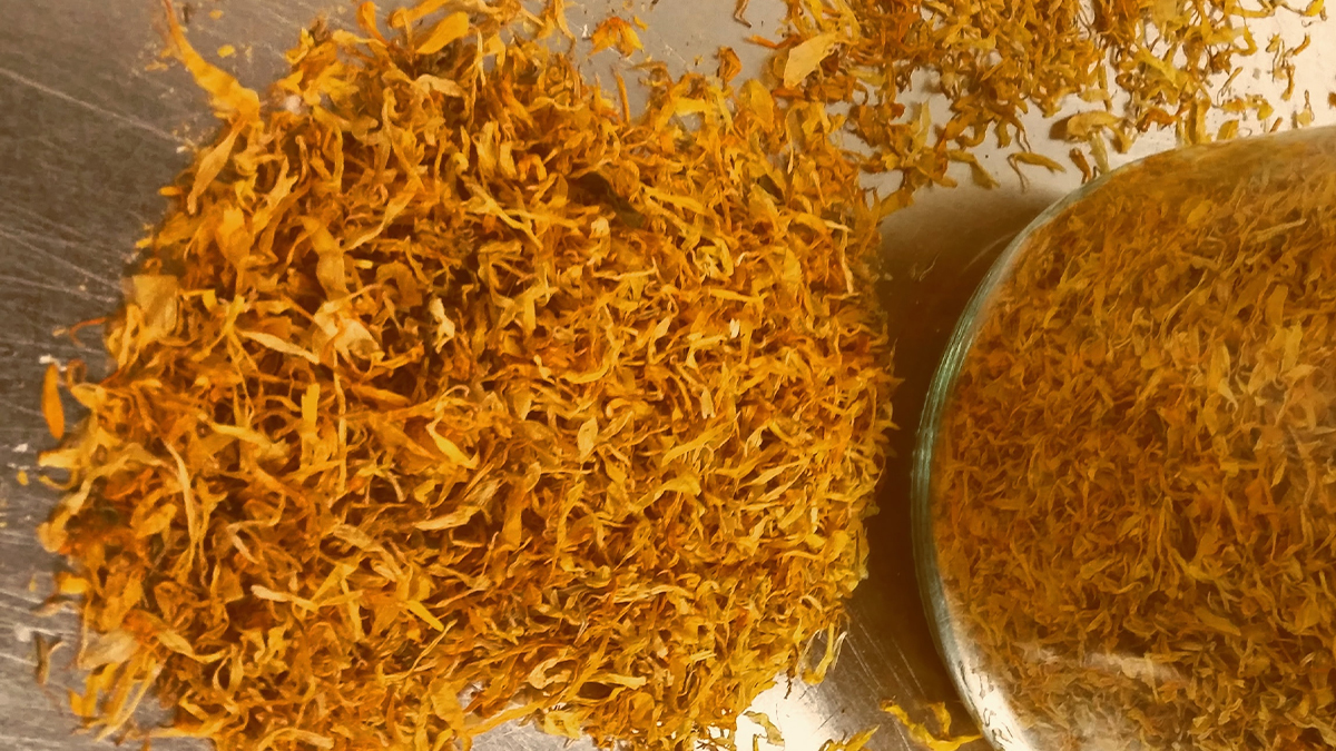 Calendula Flowers Whole