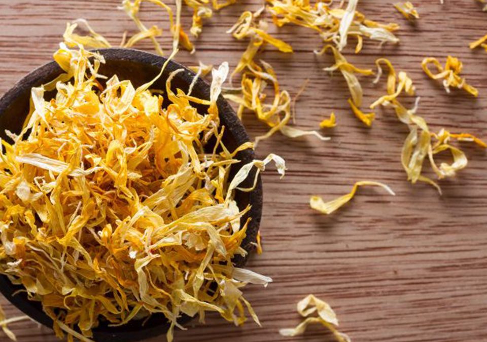 Calendula Petales