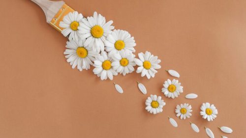 Chamomile Petals