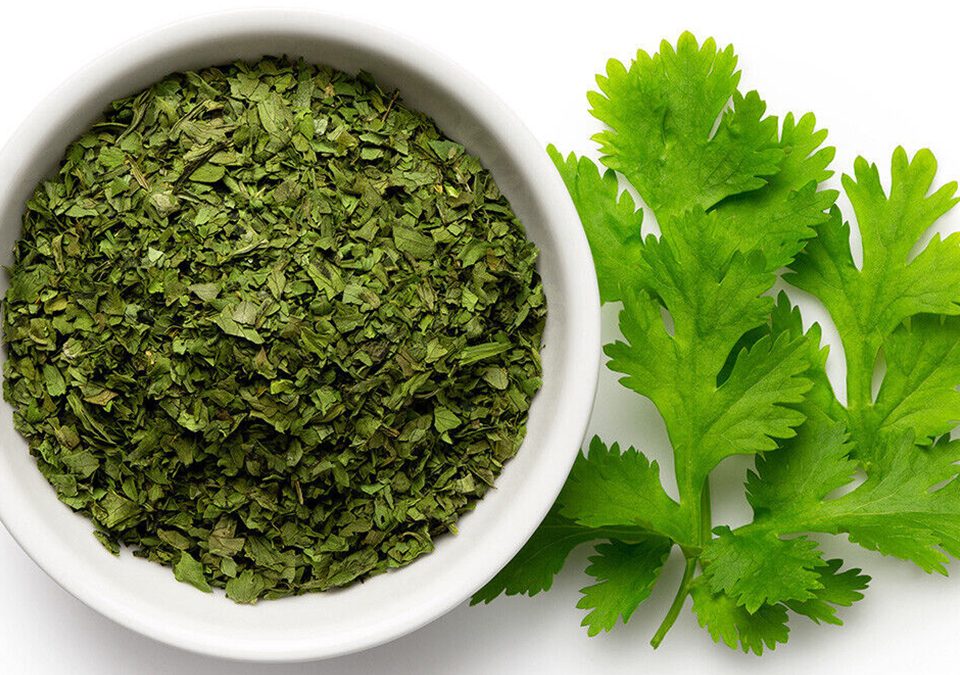 Cilantro Leaves CrushedI