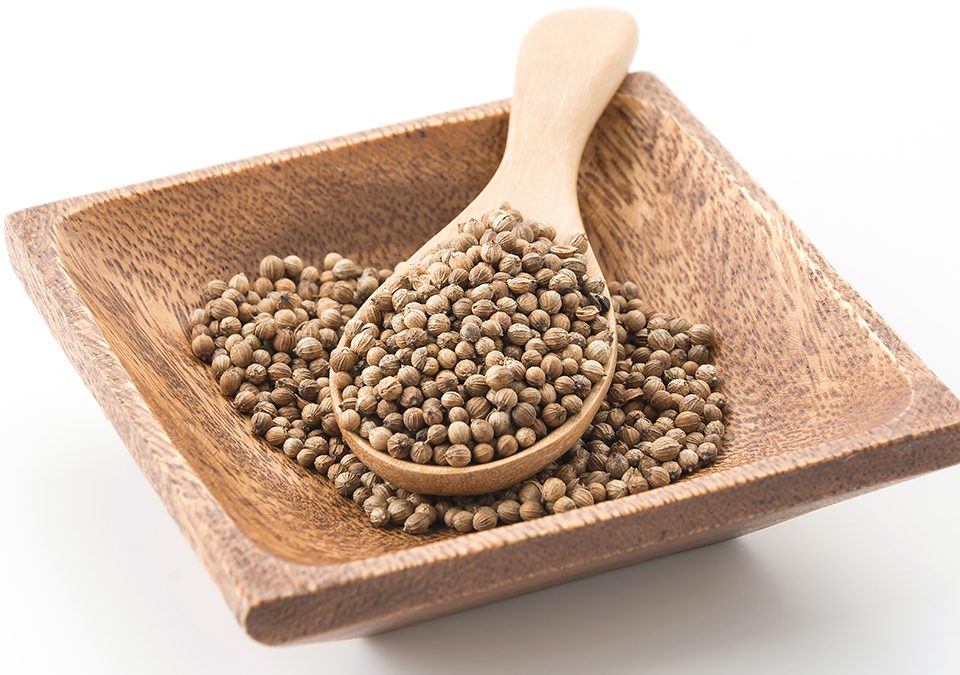 Coriander Whole