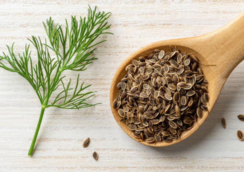 Dill Seed Whole