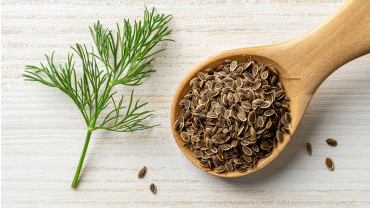 Dill Seed Whole