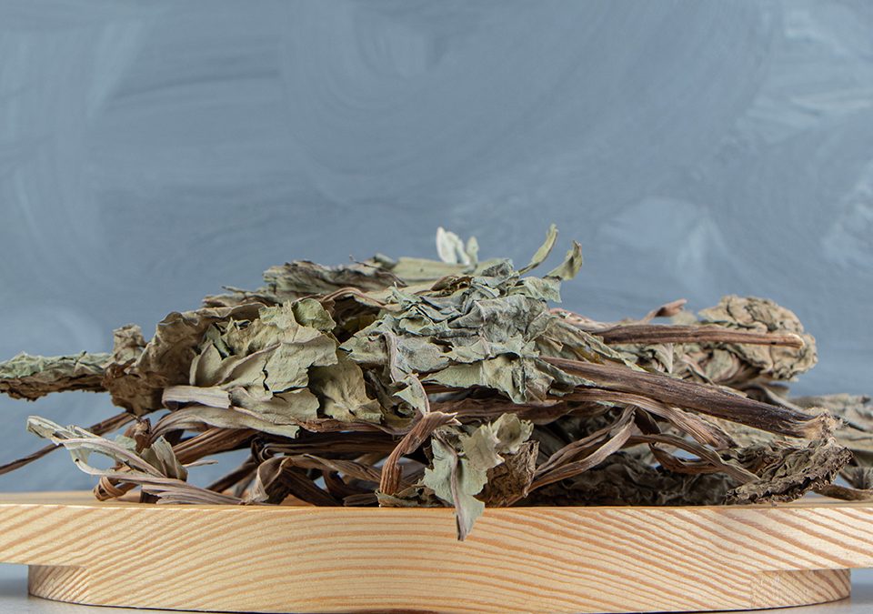 Laurel Leaves Ground