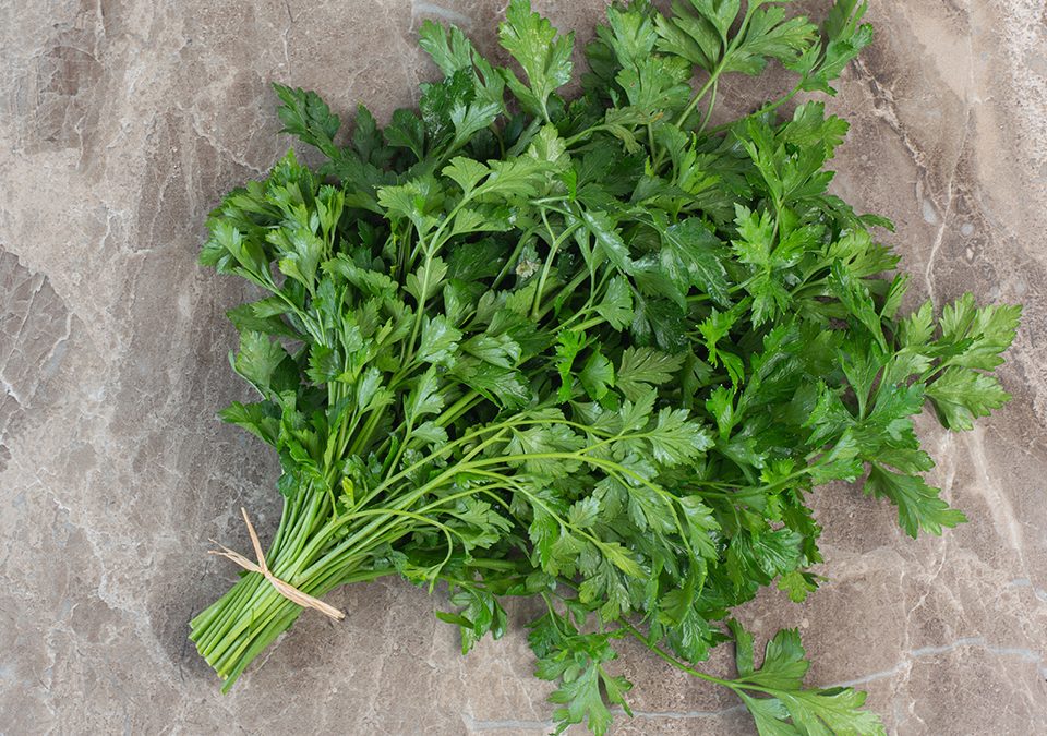 Parsley Ground