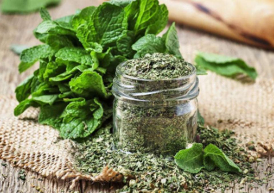 Peppermint Leaves Crushed