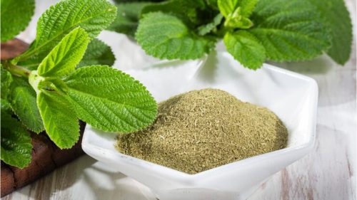 Peppermint Leaves Powder