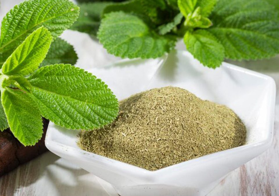Peppermint Leaves Powder