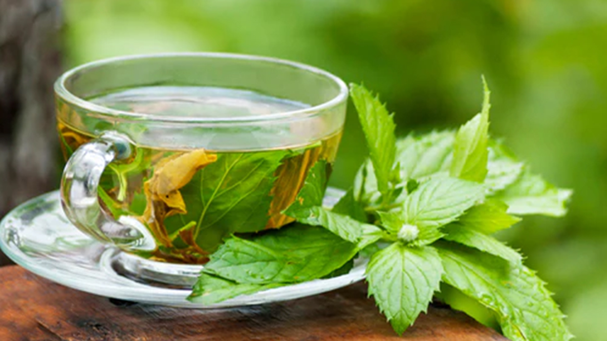 Peppermint Leaves TBC