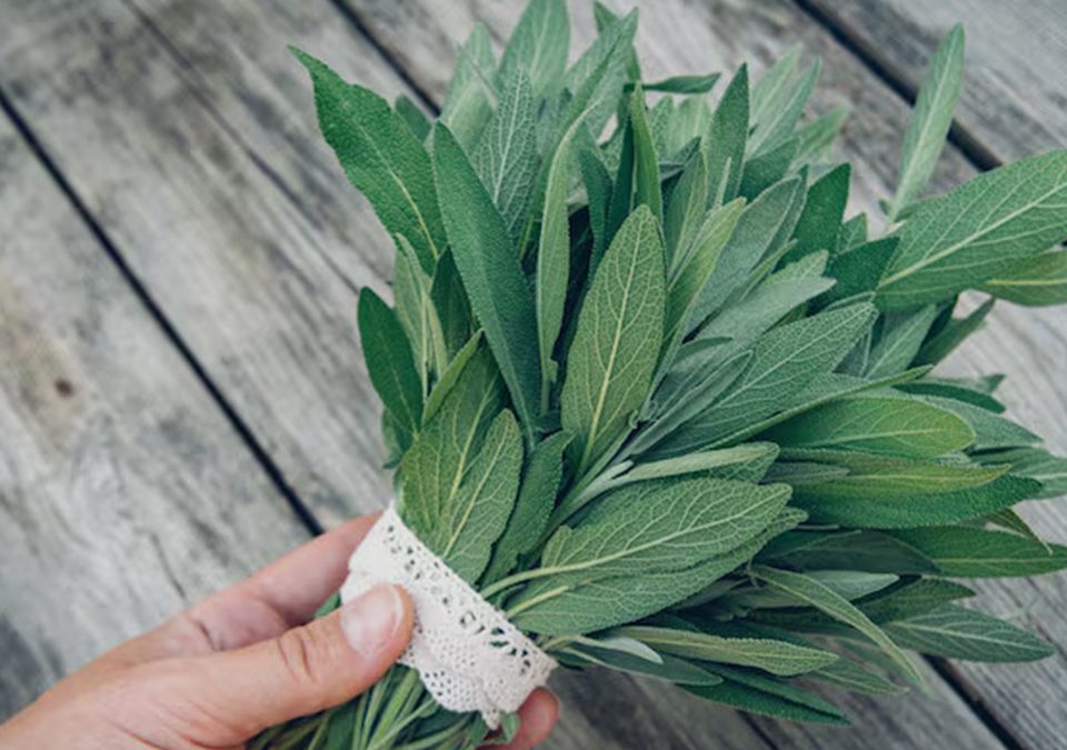 Sage Whole