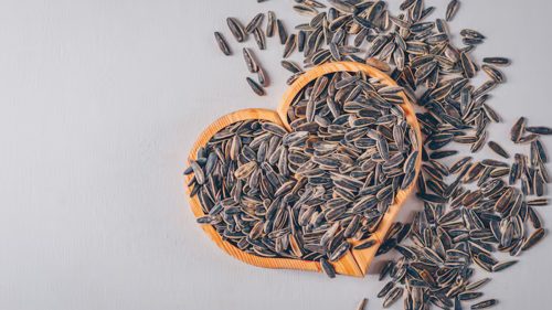 Sunflower Seed Whole